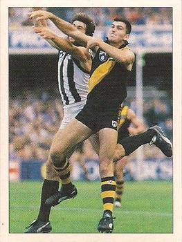 1992 Select AFL Stickers #202 Stephen Ryan Front